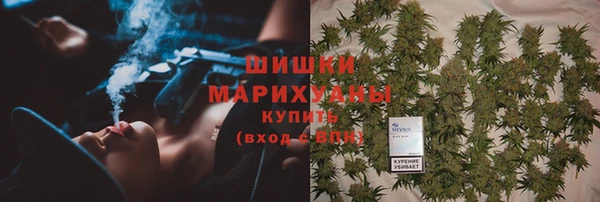 индика Красноперекопск