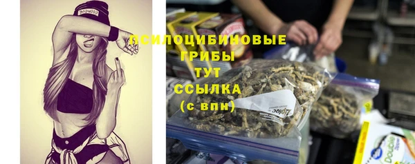PSILOCYBIN Кукмор