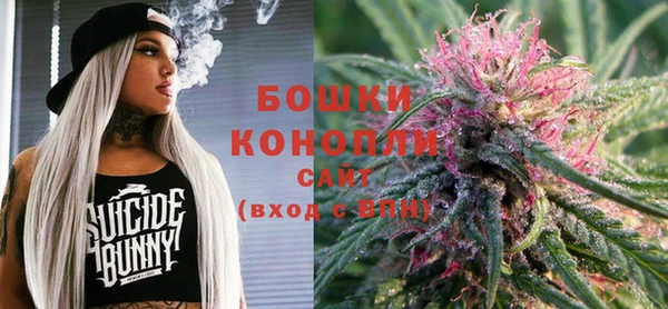 ПСИЛОЦИБИНОВЫЕ ГРИБЫ Краснотурьинск
