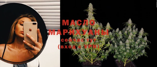 индика Красноперекопск