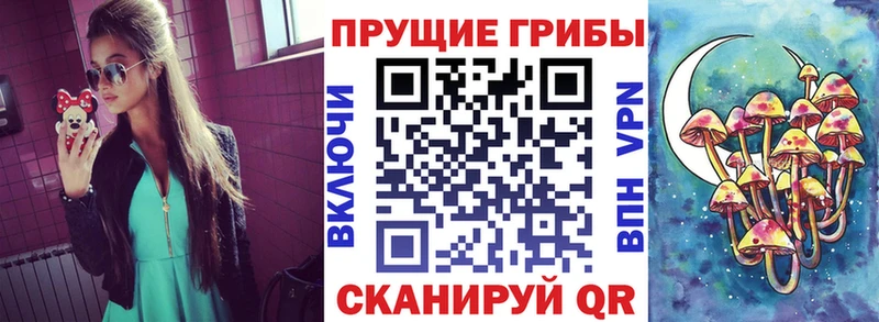 Псилоцибиновые грибы Psilocybine cubensis  Черняховск 