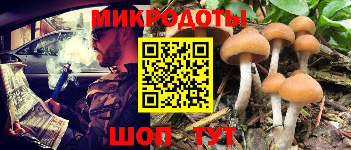 Псилоцибиновые грибы Cubensis  Вход с VPN  где можно купить   Черняховск 