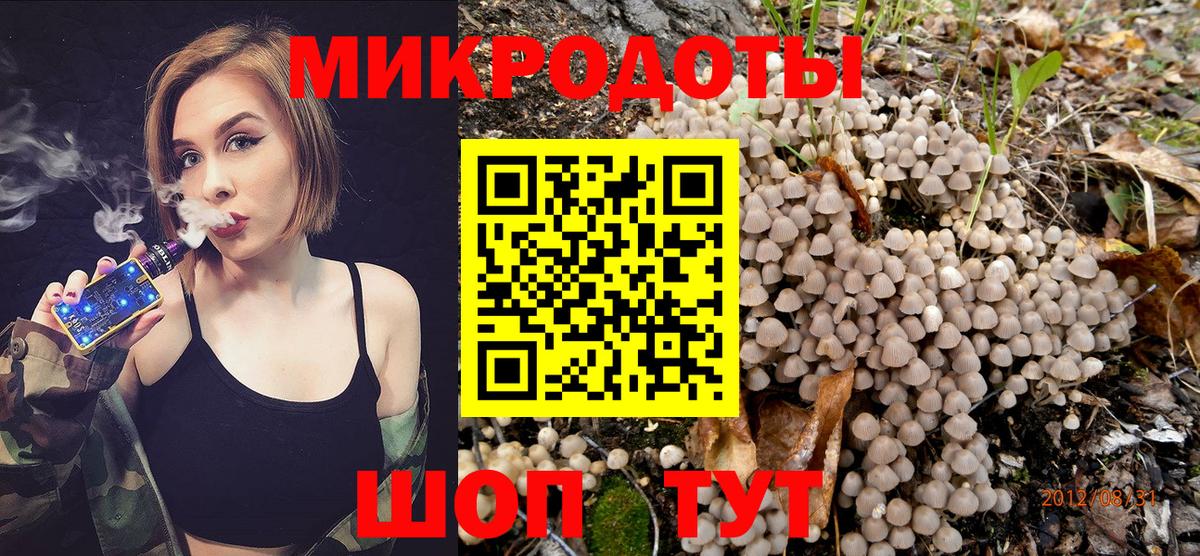 Галлюциногенные грибы Psilocybe  Псилоцибиновые грибы GOLDEN TEACHER  Черняховск 